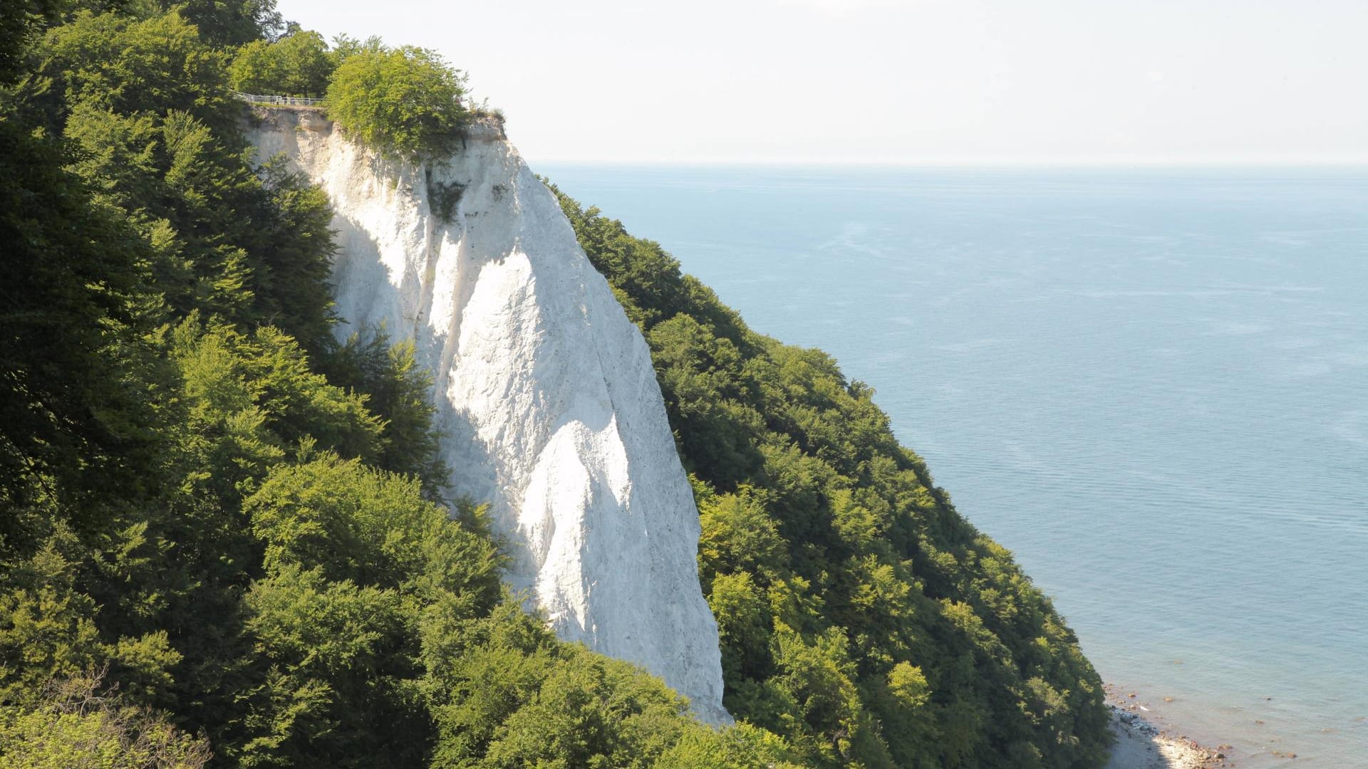 Nationalpark Jasmund: Am Königsstuhl auf Rügen gibt es Ärger. Die Insulaner streiten sich um eine geplante Aussichtsplattform.