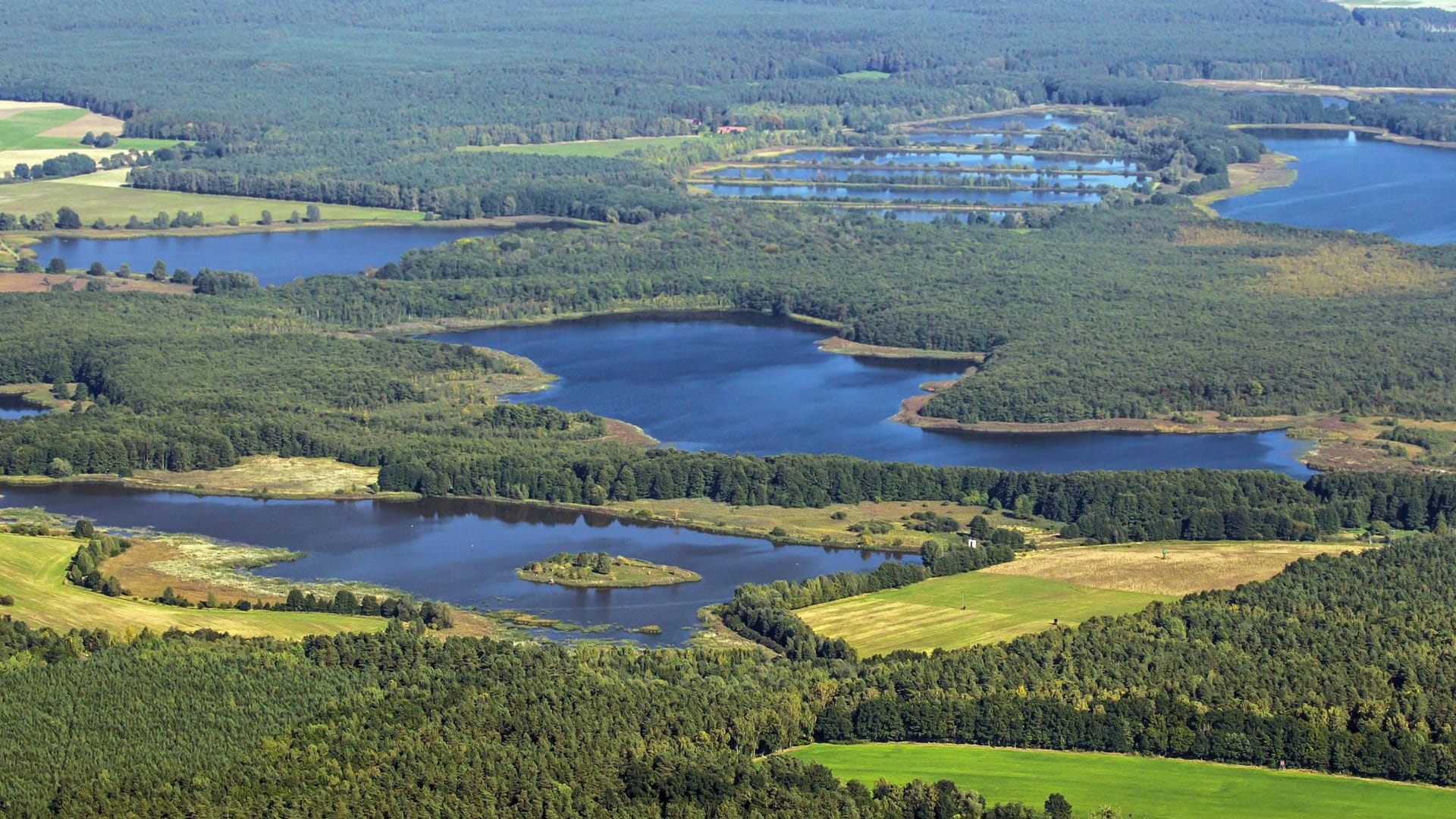 Nationalpark Müritz: In dem Reservat darf sich die Natur nach ihren eigenen Regeln entwickeln.