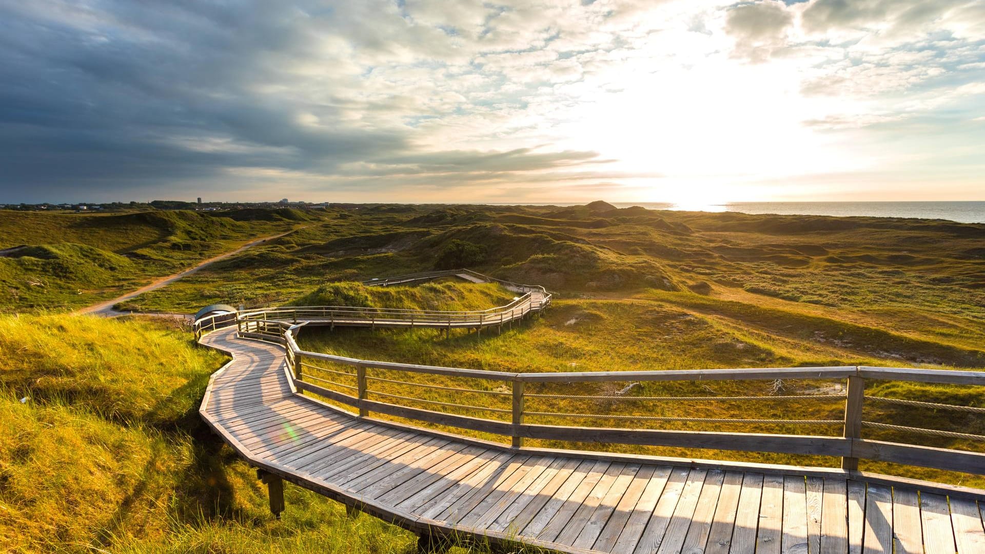 Nationalpark Niedersächsisches Wattenmeer: Auf Norderney führt ein Holzbohlenweg zur Aussichtsdüne am Zuckerpad.