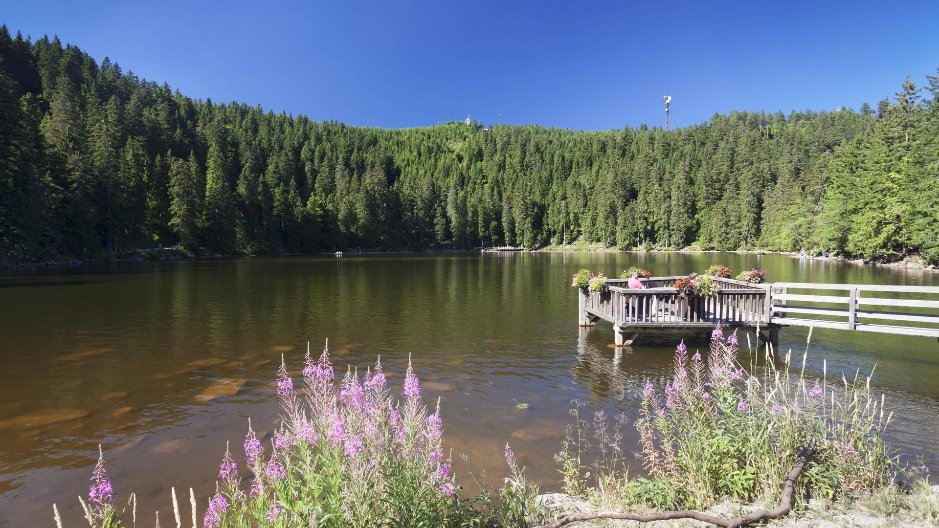 Nationalpark Schwarzwald: Der Mummelsee ist der größte der sieben Karseen im Schwarzwald.