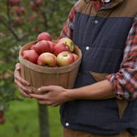 Ein Apfelbaum im Garten sieht nicht nur schön aus, er liefert auch einen Beitrag zu einer gesunden Ernährung.