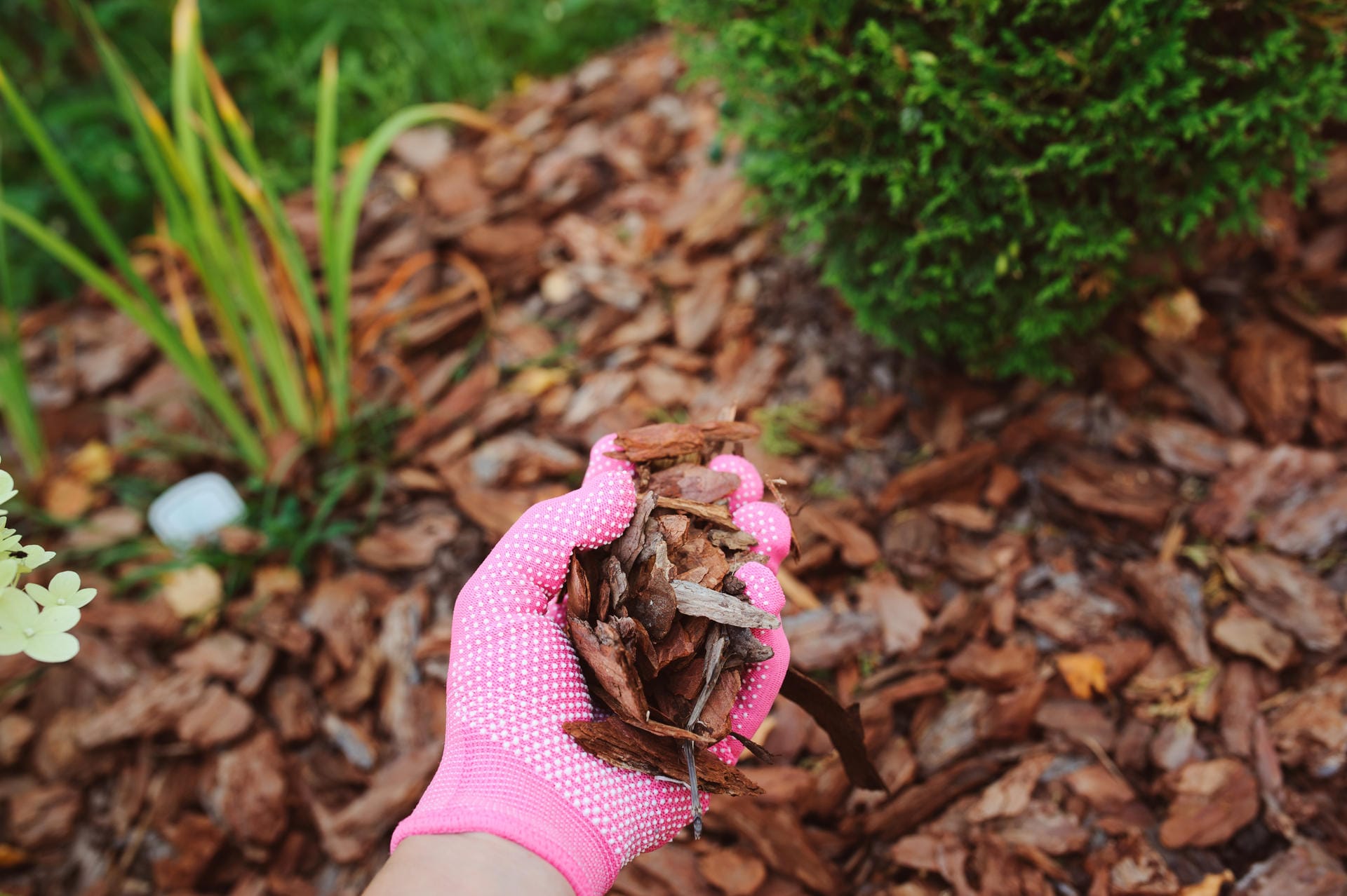 Nach einem Baumschnitt fallen reichlich Grünabfälle an. Mit einem Schredder lässt sich der Baumschnitt jedoch gut verwerten. Kleinere Äste und Laub lassen sich hervorragend kompostieren. Größere Astabfälle kann man gut zu Mulch verarbeiten. Verteilt auf dem Gartenbeet schützt er den Boden vor Austrocknung, sichert ihn aber auch vor starken Niederschlägen. Tipp: Keine Lust auf noch mehr Gartenarbeit? Bei Kompostwerken können Sie Ihren Baumschnitt in der Regel kostengünstig abgeben.