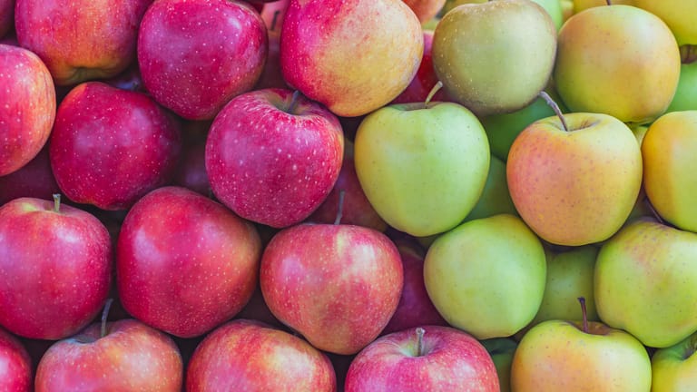 Apfelsorten: Obstkundler gehen davon aus, dass es im 19. und 20. Jahrhundert mindestens 2.000 bis 3.000 Apfelsorten im deutschsprachigen Raum gab.