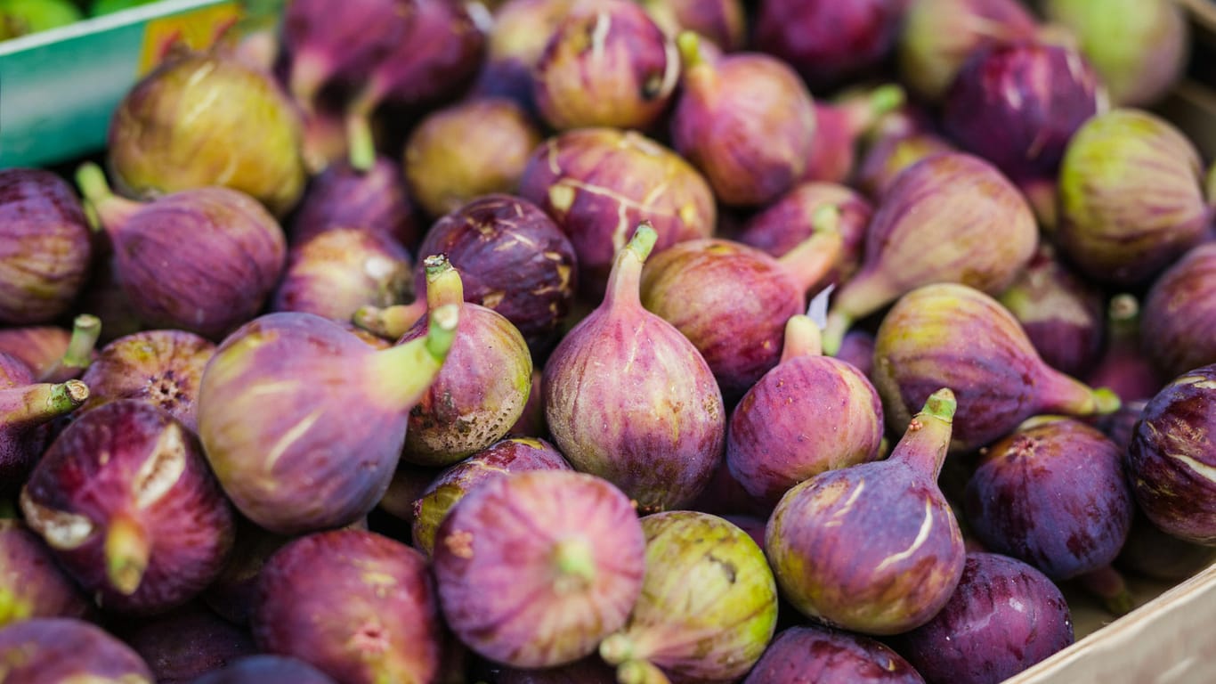 Figs in the supermarket: When buying the fruits, make sure that they have no bruises.