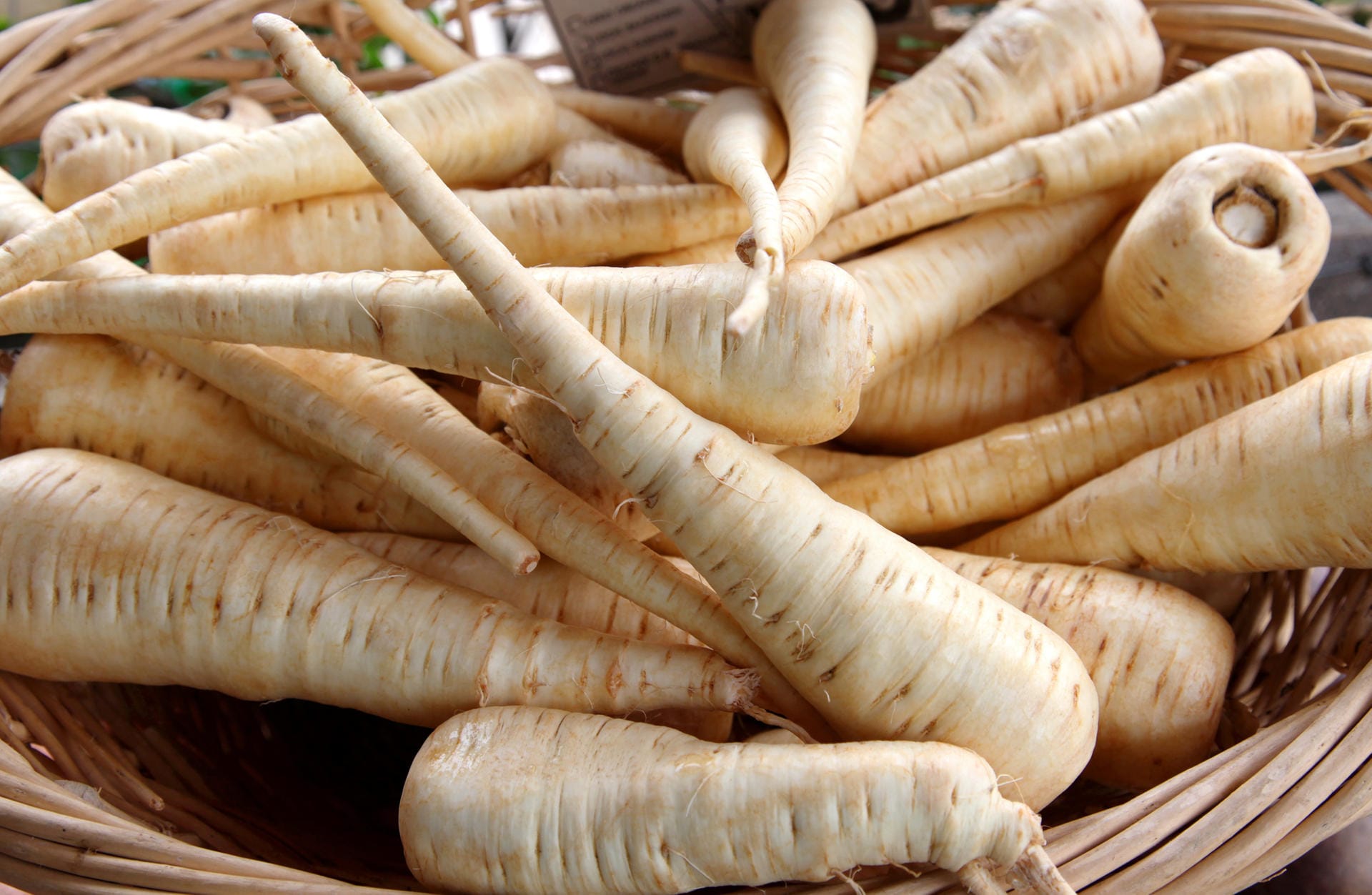 Nicht so bekannt wie Möhren, aber mindestens genau so lecker sind Pastinaken. Das Wurzelgemüse steckt voller Kalzium und Carotin und enthält laut dem Pressebüro Obst und Gemüse in Bonn viermal so viel Vitamin C wie Möhren. Oft wird die Pastinake mit der Petersilienwurzel verwechselt. Pastinaken haben aber einen milderen Geschmack, der süßlich und nussig ist. Das Gemüse kann roh oder gekocht verzehrt werden und schmeckt besonders gut in Kombination mit Möhren.