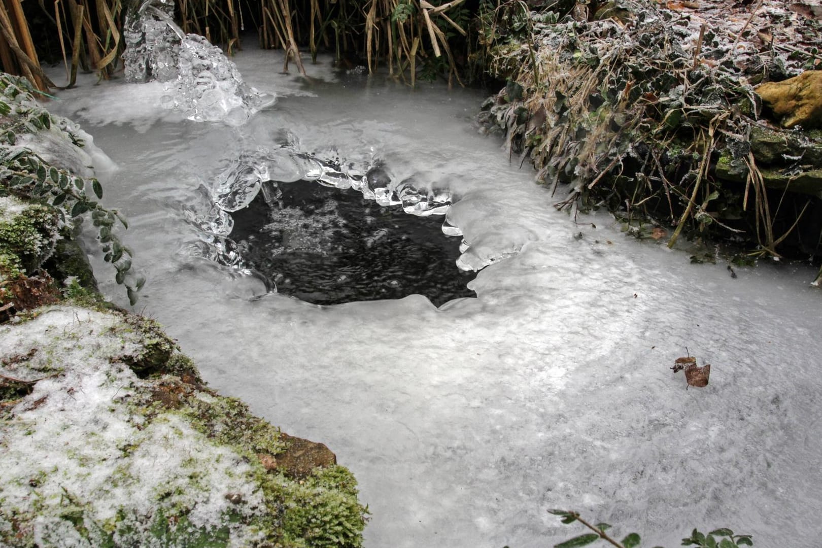 Eisgebilde an einem Gartenteich