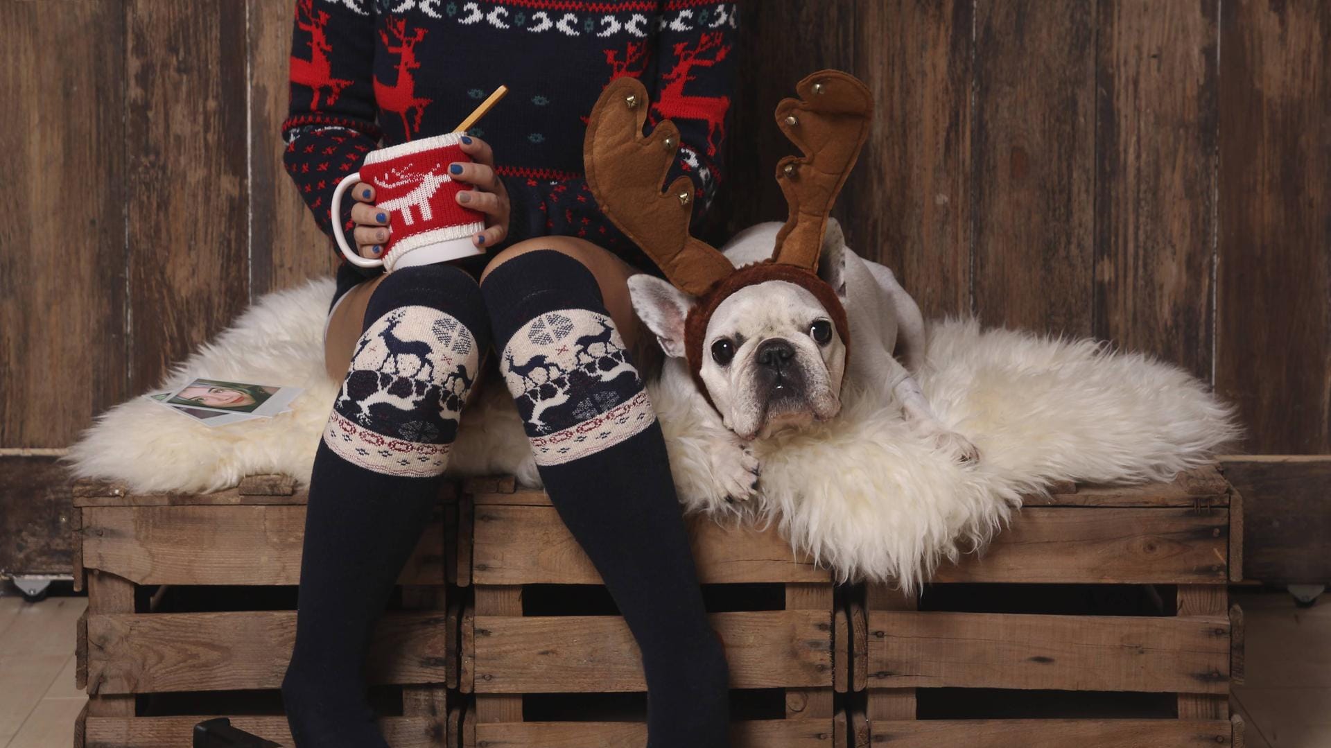 Hund im Kostüm: Für Haustiere ist Weihnachten eine stressige Zeit. (Symbolfoto) Hund im Kostüm: Für Haustiere ist Weihnachten eine stressige Zeit. (Symbolfoto)