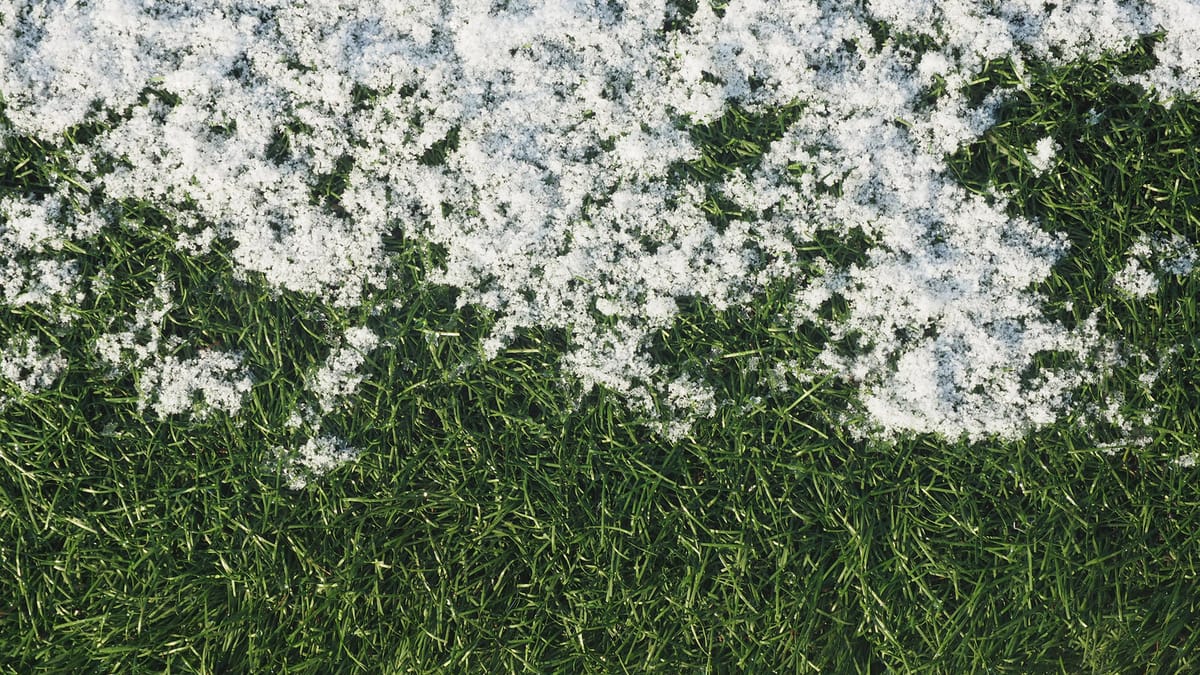 51+ Rasen Im Winter, Du fragst dich, ob und wie du deinen rasen im
