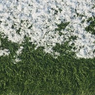 Rasen mit Schnee