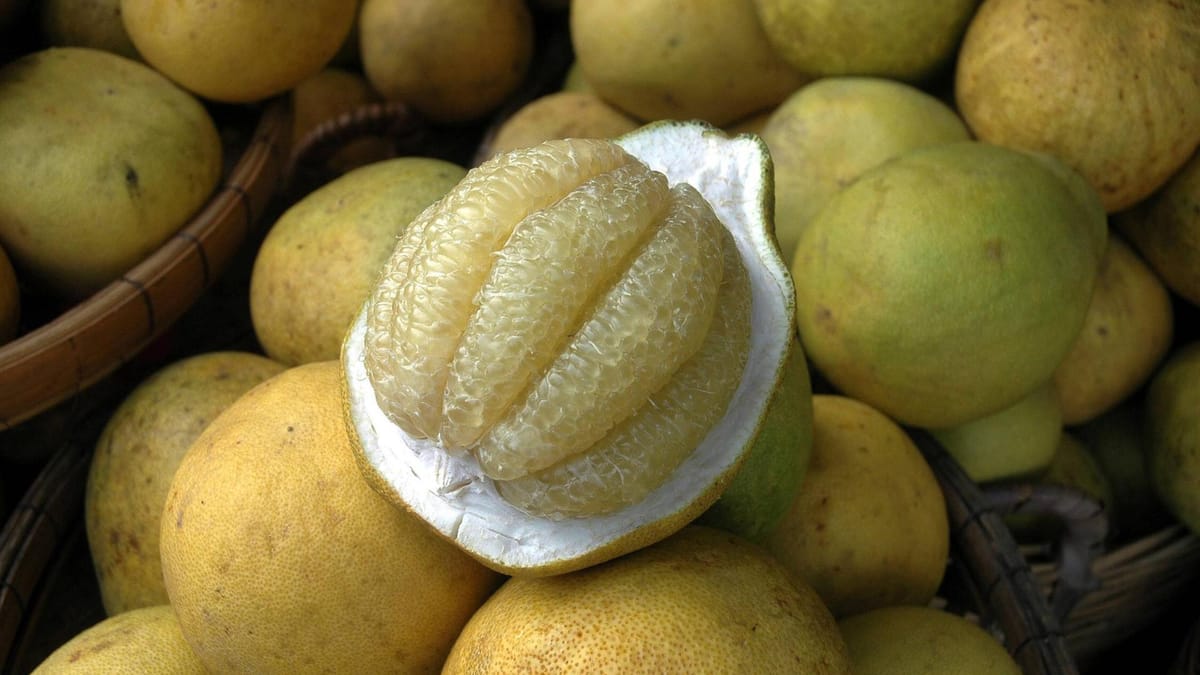 Pomelo Wie gesund ist die Tropenfrucht wirklich