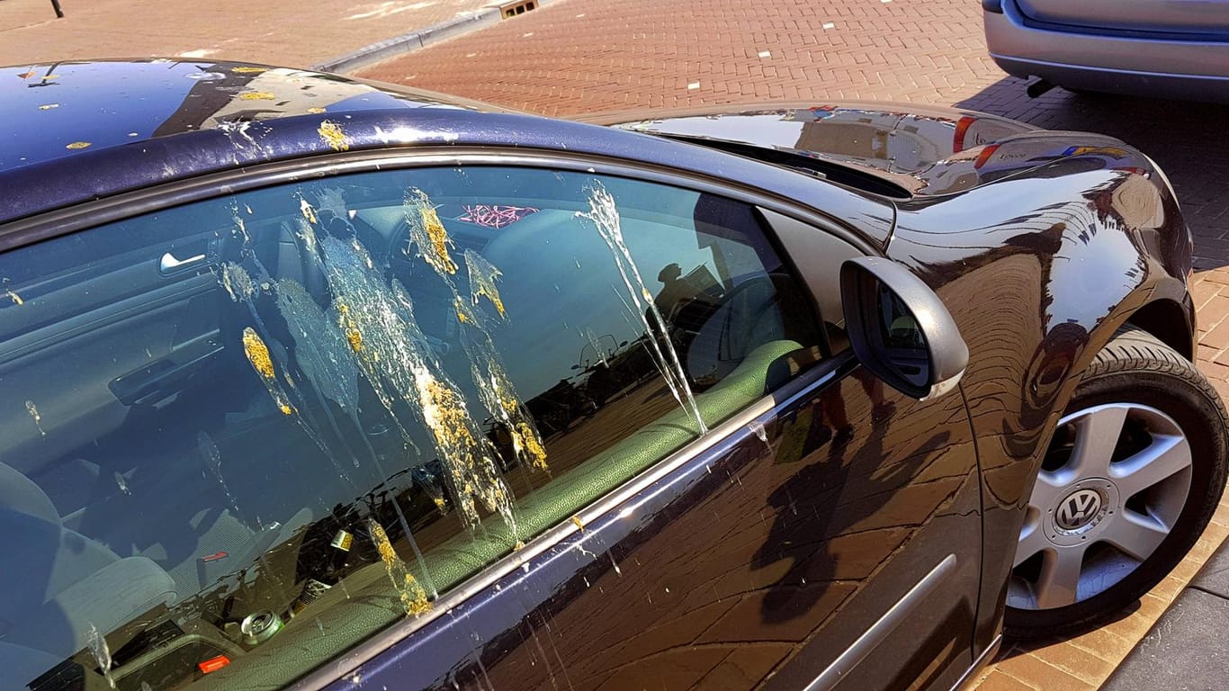 Vogelkot auf einem parkenden Auto