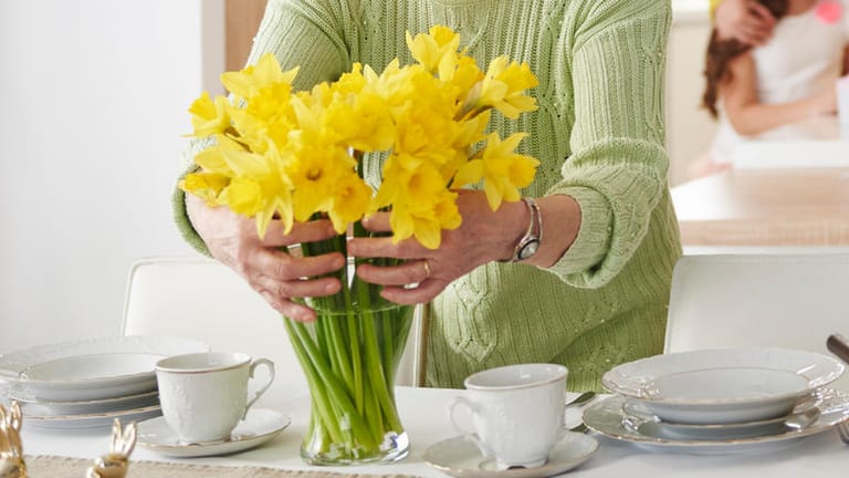 Narzissen: Wer Osterglocken mit anderen Blumen kombinieren will, muss sie erst ausschleimen lassen.