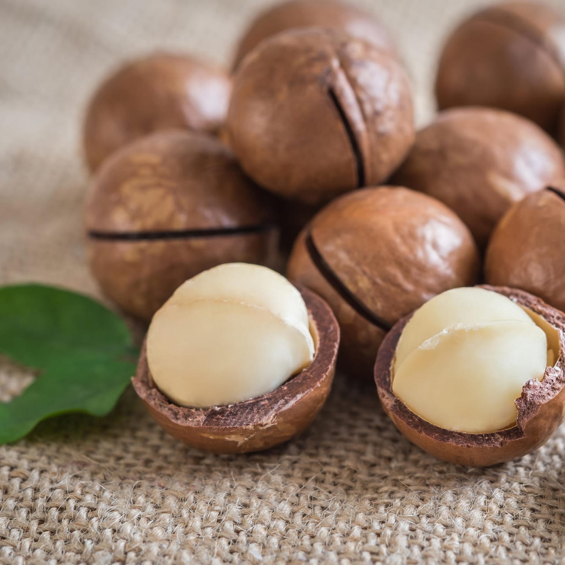 Macadamia: Wie gesund ist die die Königin der Nüsse?