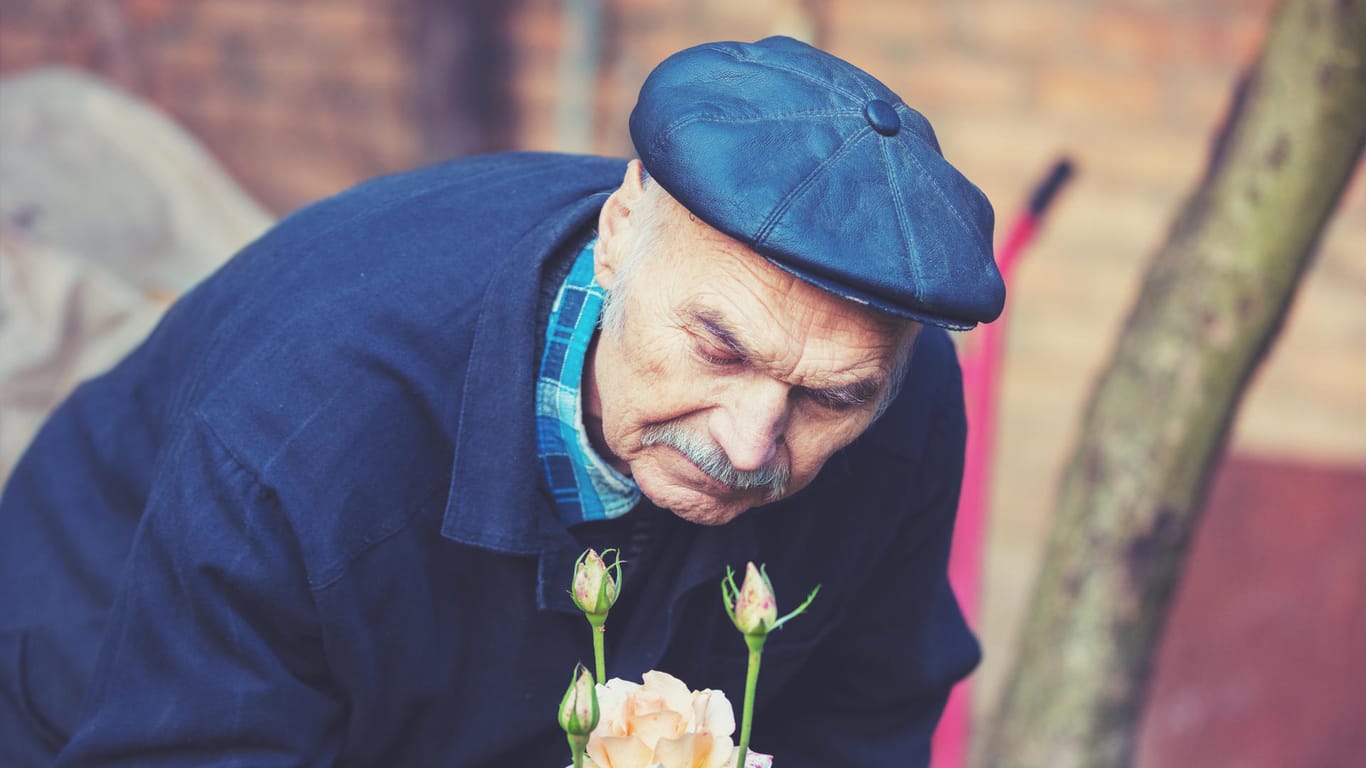 Wenn im Alter der Geruchssinn nachlässt oder plötzlich Gerüche wahrgenommen werden, die gar nicht existieren, kann das ein Anzeichen für Alzheimer sein.