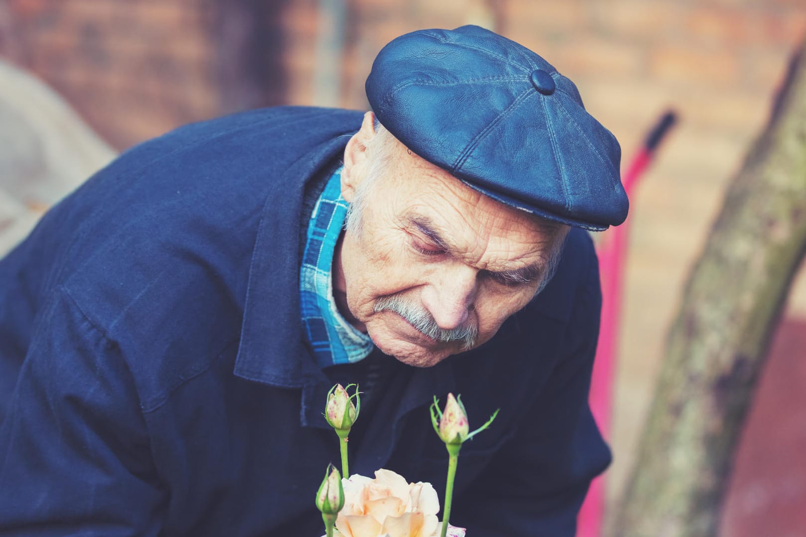 Wenn im Alter der Geruchssinn nachlässt oder plötzlich Gerüche wahrgenommen werden, die gar nicht existieren, kann das ein Anzeichen für Alzheimer sein.