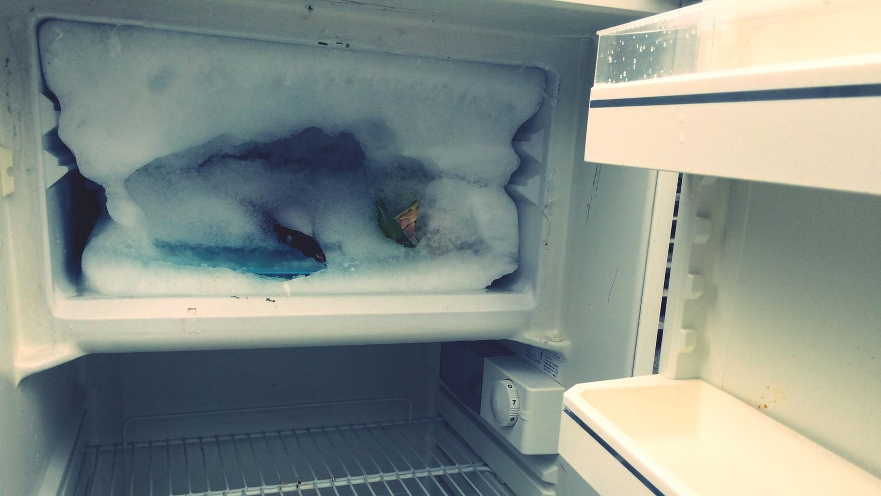 Kühlschrank abtauen: Mit diesen Tipps geht's schnell & sauber