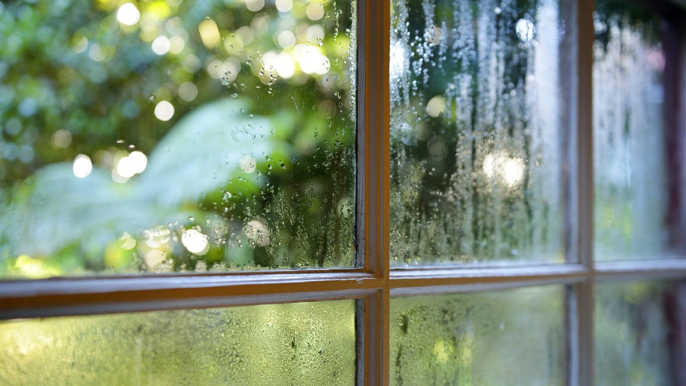 Kondenswasser: Ursache kann ein schlecht isoliertes Fenster sein.