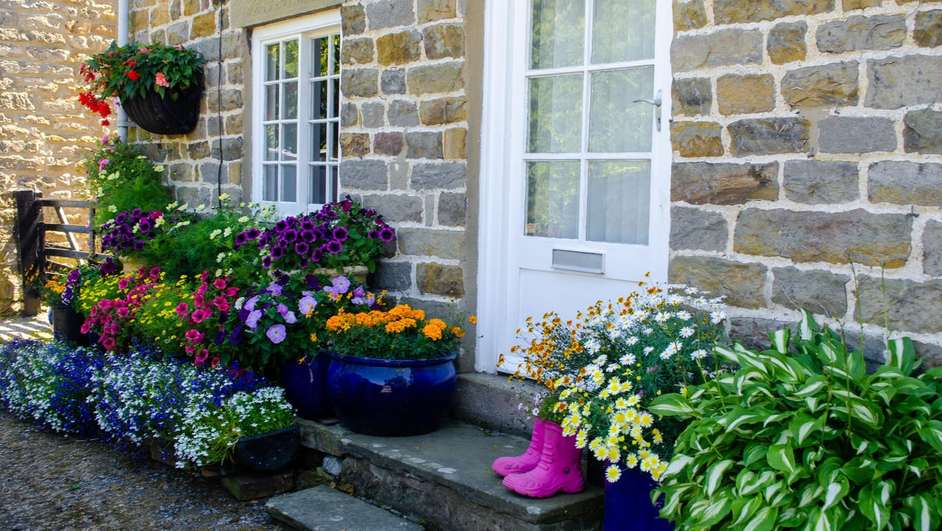 Blumen vor Haustür: Wichtig ist die Himmelsrichtung, in der der Vorgarten liegt. Denn für Licht und Bepflanzung spielen sie eine große Rolle.