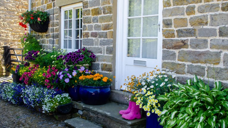 Blumen vor Haustür: Wichtig ist die Himmelsrichtung, in der der Vorgarten liegt. Denn für Licht und Bepflanzung spielen sie eine große Rolle.