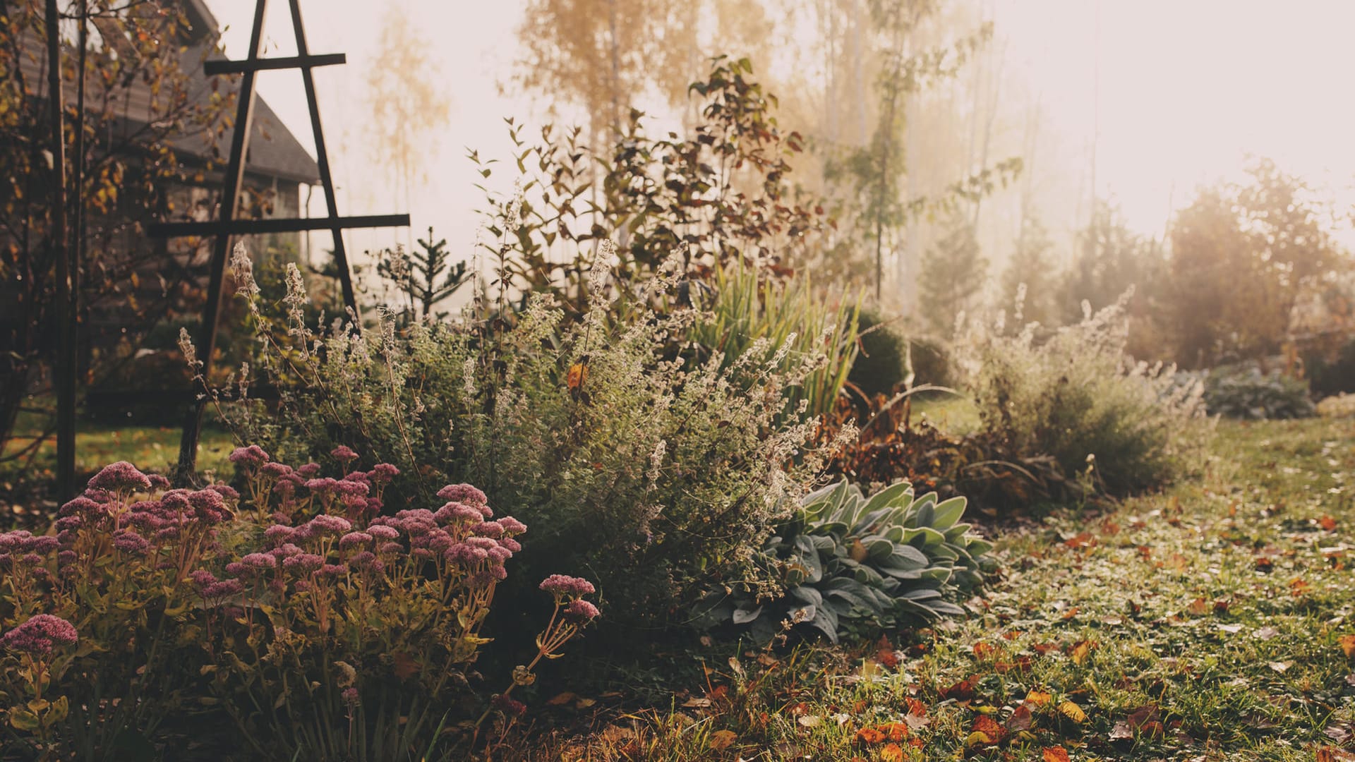 Garten im Spätherbst: Damit Ihre Pflanzen die kalte Jahreszeit gut überstehen, sollten Sie sie vor Frost schützen.