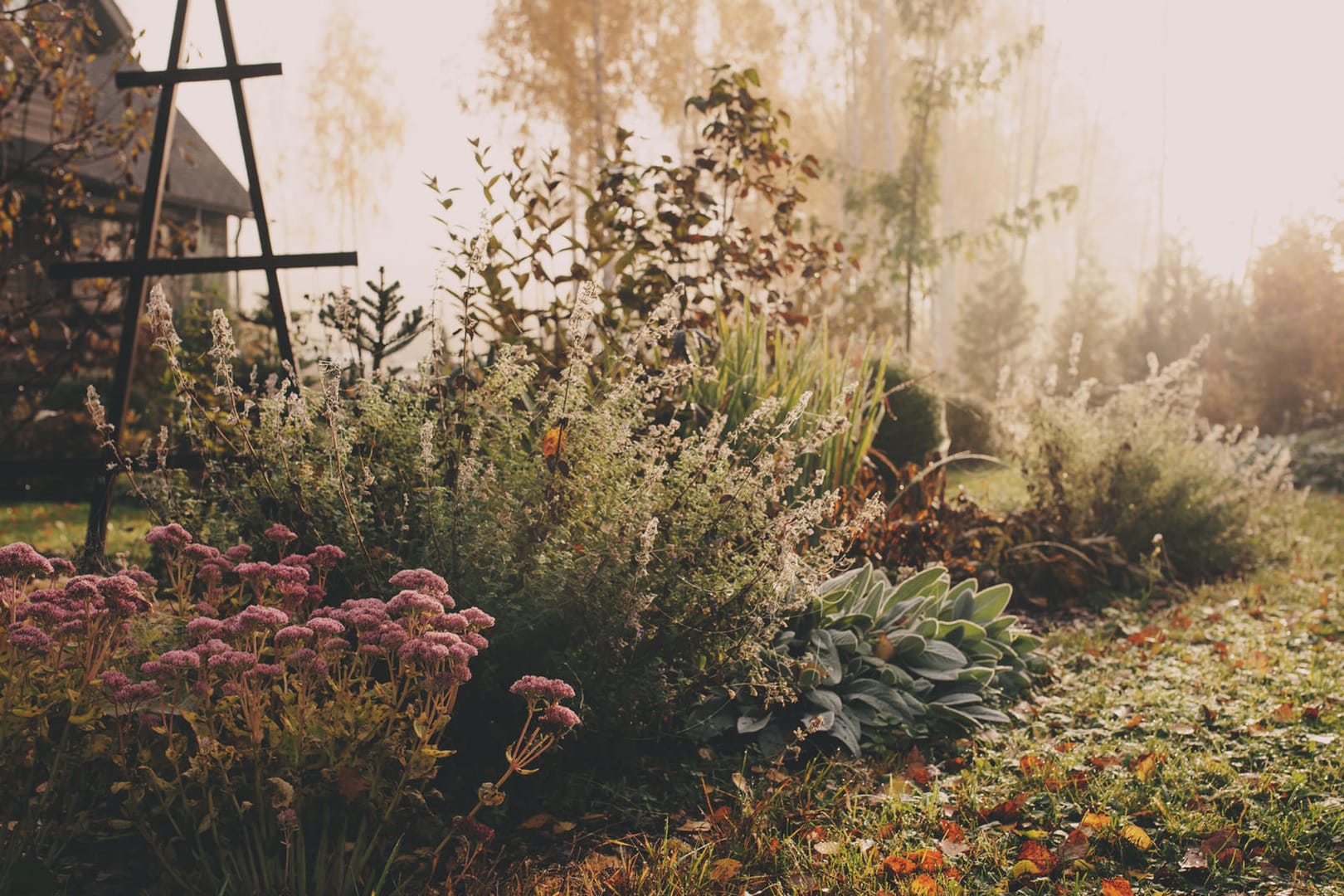 Garten im Spätherbst: Damit Ihre Pflanzen die kalte Jahreszeit gut überstehen, sollten Sie sie vor Frost schützen.