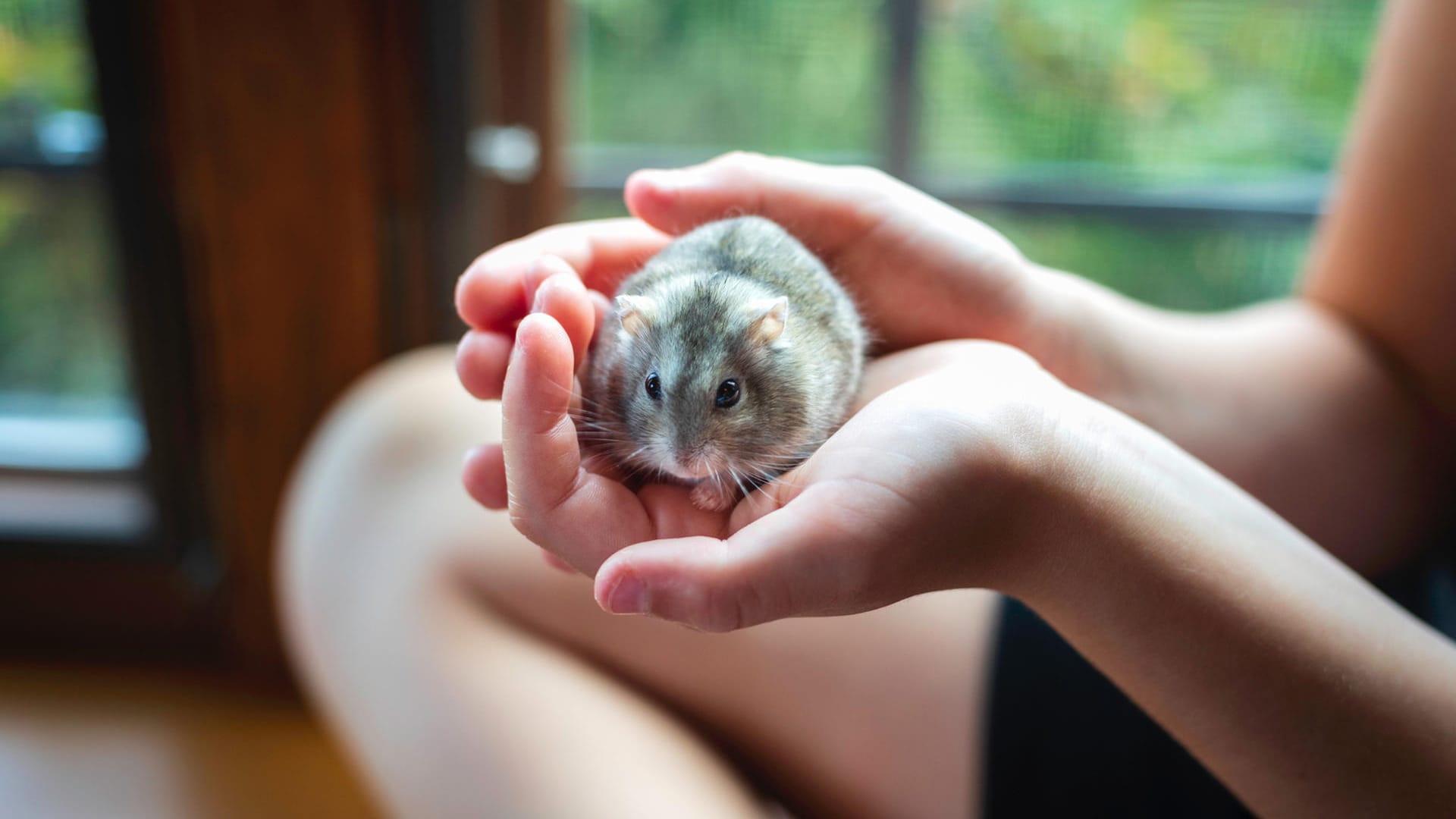 Ein Mädchen hält einen Hamster in den Händen: Manchmal haben Kinder direkt eine Idee, wie ihr neues Haustier heißen soll.