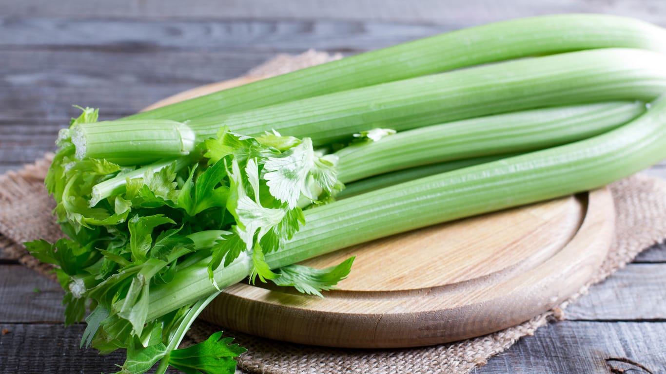 Sellerie: Das grüne Gemüse ist gesund und vielseitig. Es enthält eine Vielzahl an Vitaminen, Mineralstoffen und Spurenelementen.
