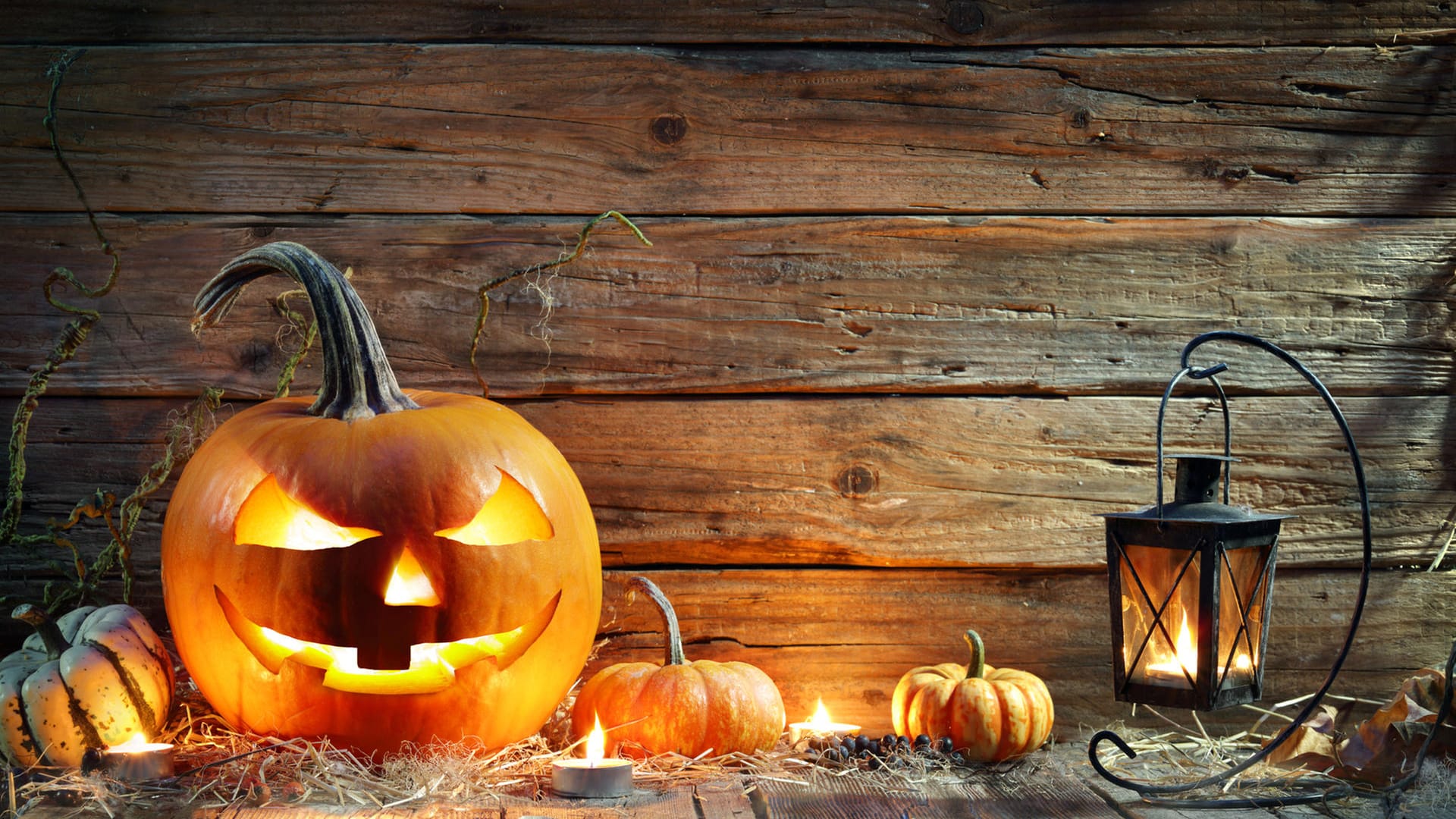 Kürbisse und Kerzen als Dekoration: Heutzutage verbindet man mit Halloween auch Kürbisse. Dieser Brauch geht auf die Legende des Hufschmieds Jack zurück. Der hat den Teufel ausgetrickst und musste deswegen mit einer Rübenlaterne zwischen den Welten wandern. Irische Auswanderer ersetzten später die Rübe durch den Kürbis.