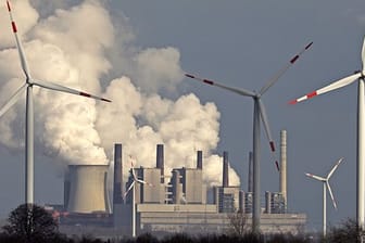 Die Klimaschutz-Pläne der Parteien vor der Bundestagswahl: Die Kanzlerkandidaten wollen Klimaschutz und Wirtschaftwachstum vereinbaren.