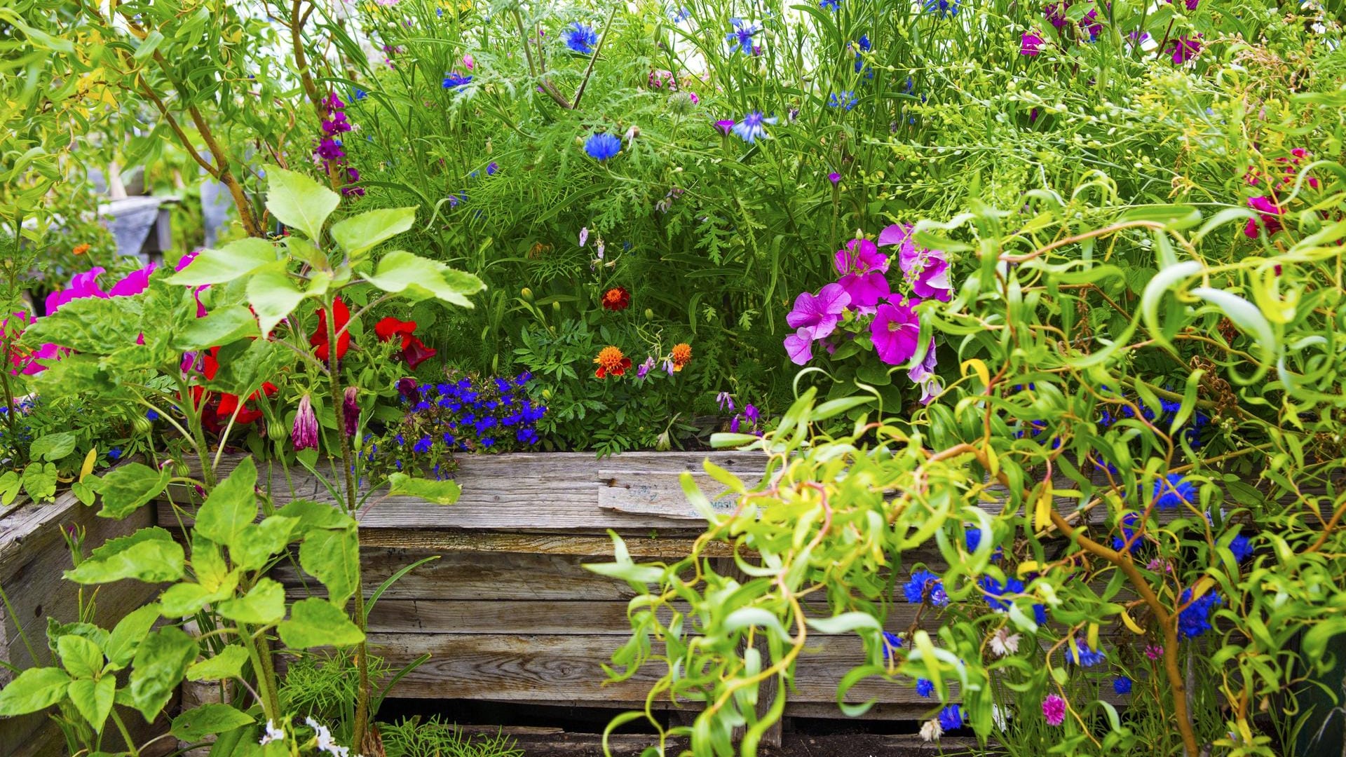 Naturgarten: Verwenden Sie zum Bauen nur Materialien, die unbehandelt sind.