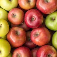 Golden Delicious, Gala und Granny Smith: Rote, grüne oder gelbe Apfelsorten unterscheiden sich nicht nur im Geschmack, sondern auch im Vitamingehalt.