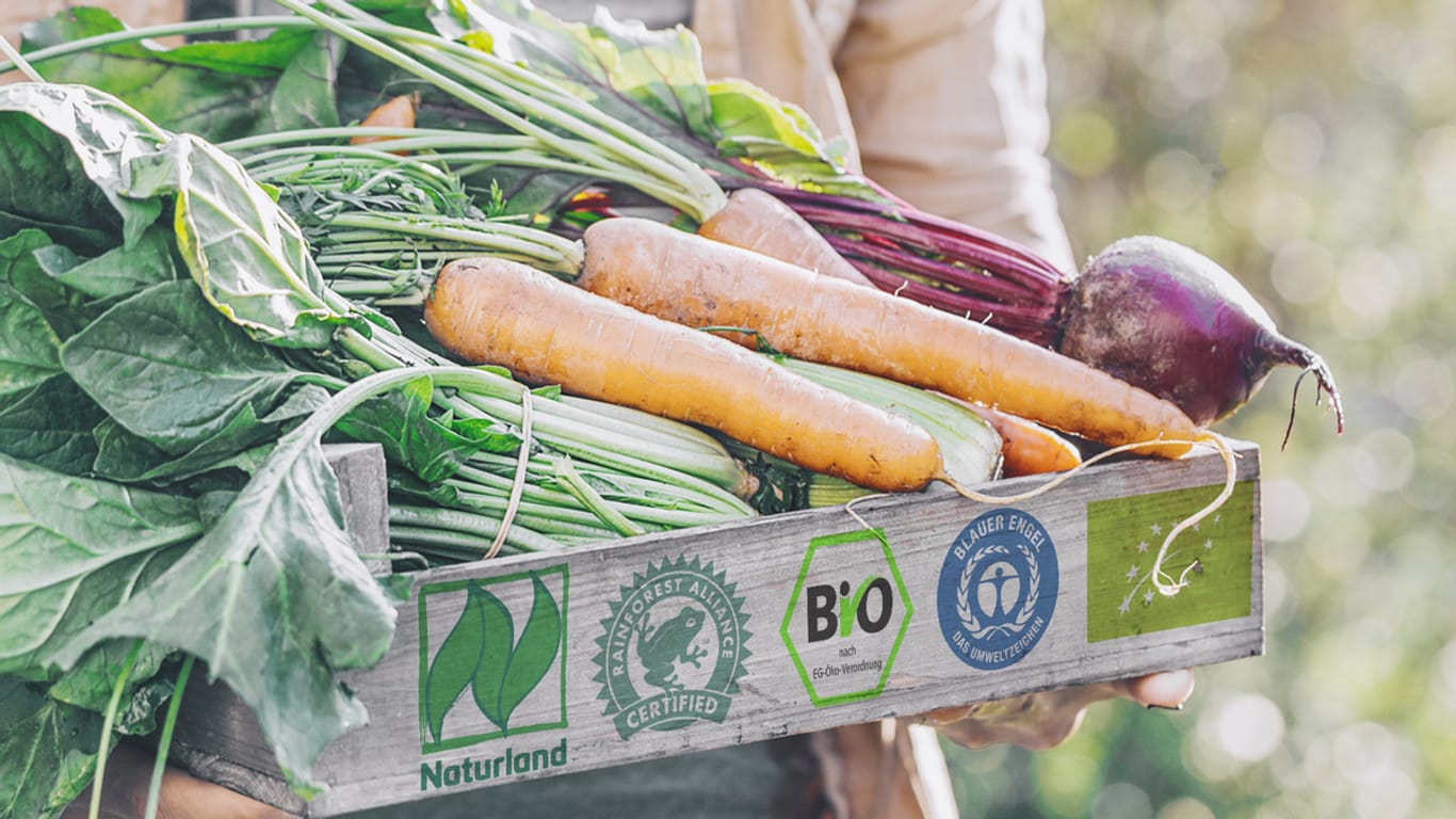 Siegelkunde: Hunderte Siegel für Bioprodukte, Nachhaltigkeit oder faire Arbeitsbedingungen sind auf Produkten in Supermärkten zu finden. Doch was bedeuten sie eigentlich?