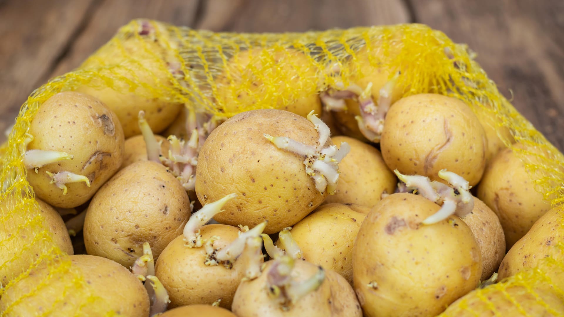 Kartoffeln mit Trieben: Ab einer gewissen Länge der Triebe sollten Sie das Gemüse nicht mehr essen.