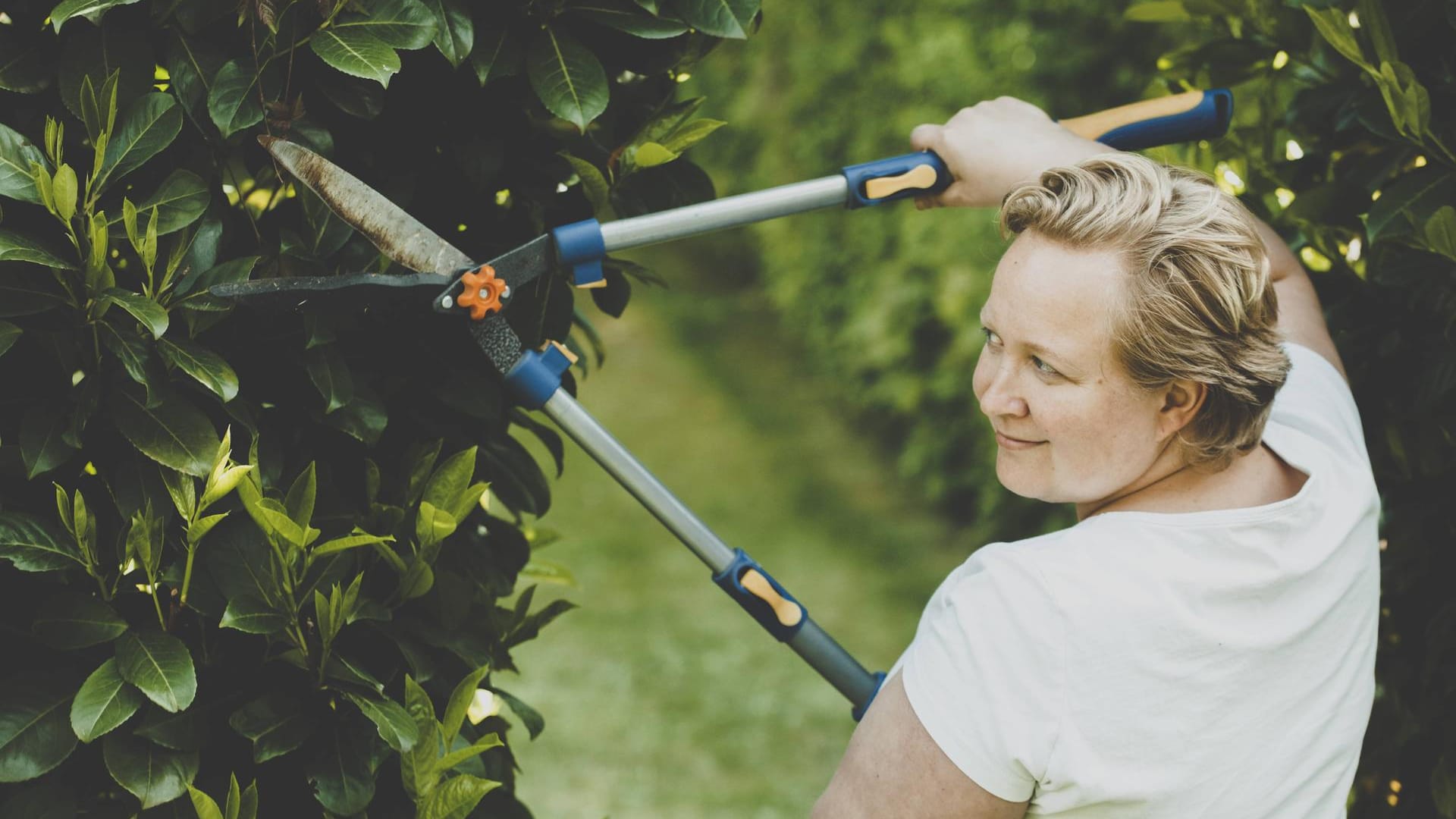 Mechanische Schere: Zwar erfordert eine Zweihandschere Muskelkraft, doch können Sie mit ihr Ihre Hecke individuell in Form bringen.