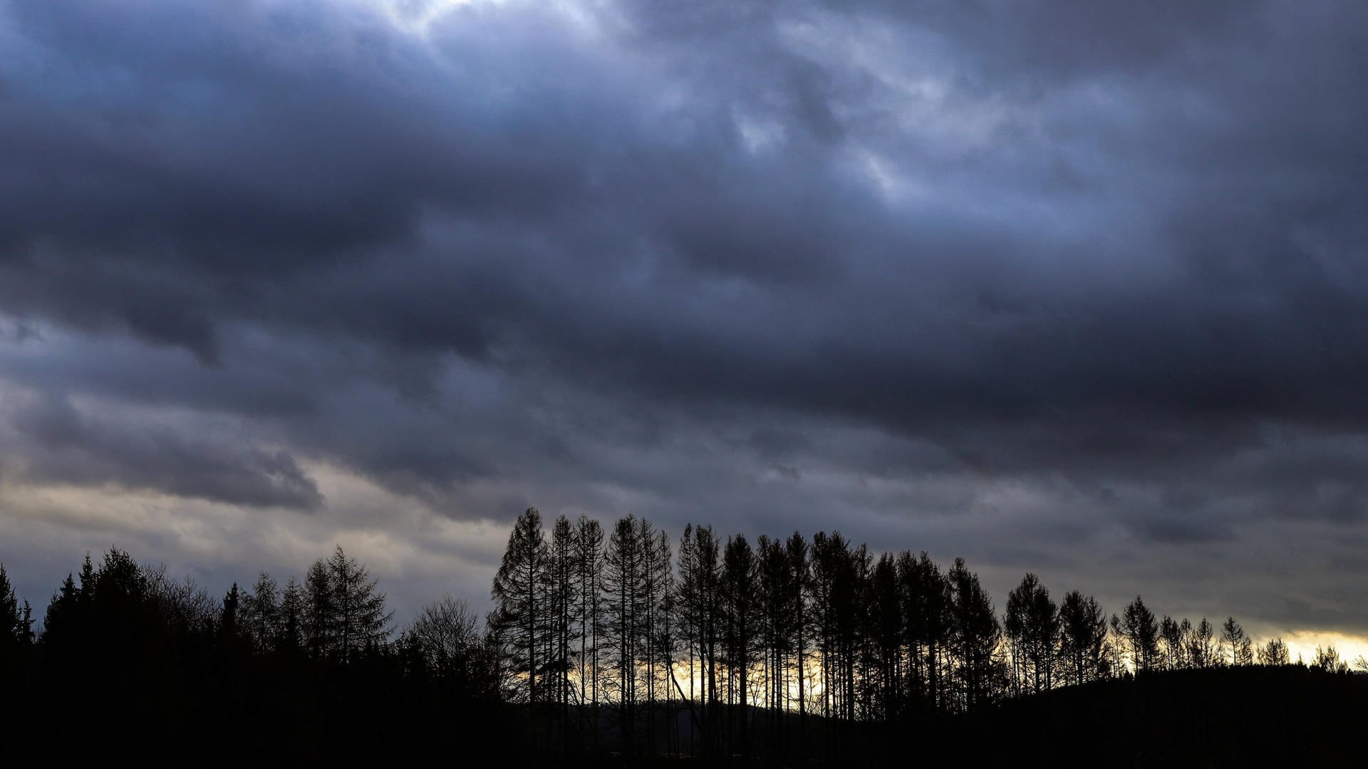 Oft kommt es ganz plötzlich – ein Unwetter. Wenn dunkle Wolken am Himmel aufziehen, sollte man sich besser in Sicherheit bringen, denn Starkregen und Blitzschläge können lebensbedrohlich sein. Wir haben in unserer Fotoshow Tipps zusammengestellt, wie Sie sie sich bei einem Gewitter am besten verhalten.