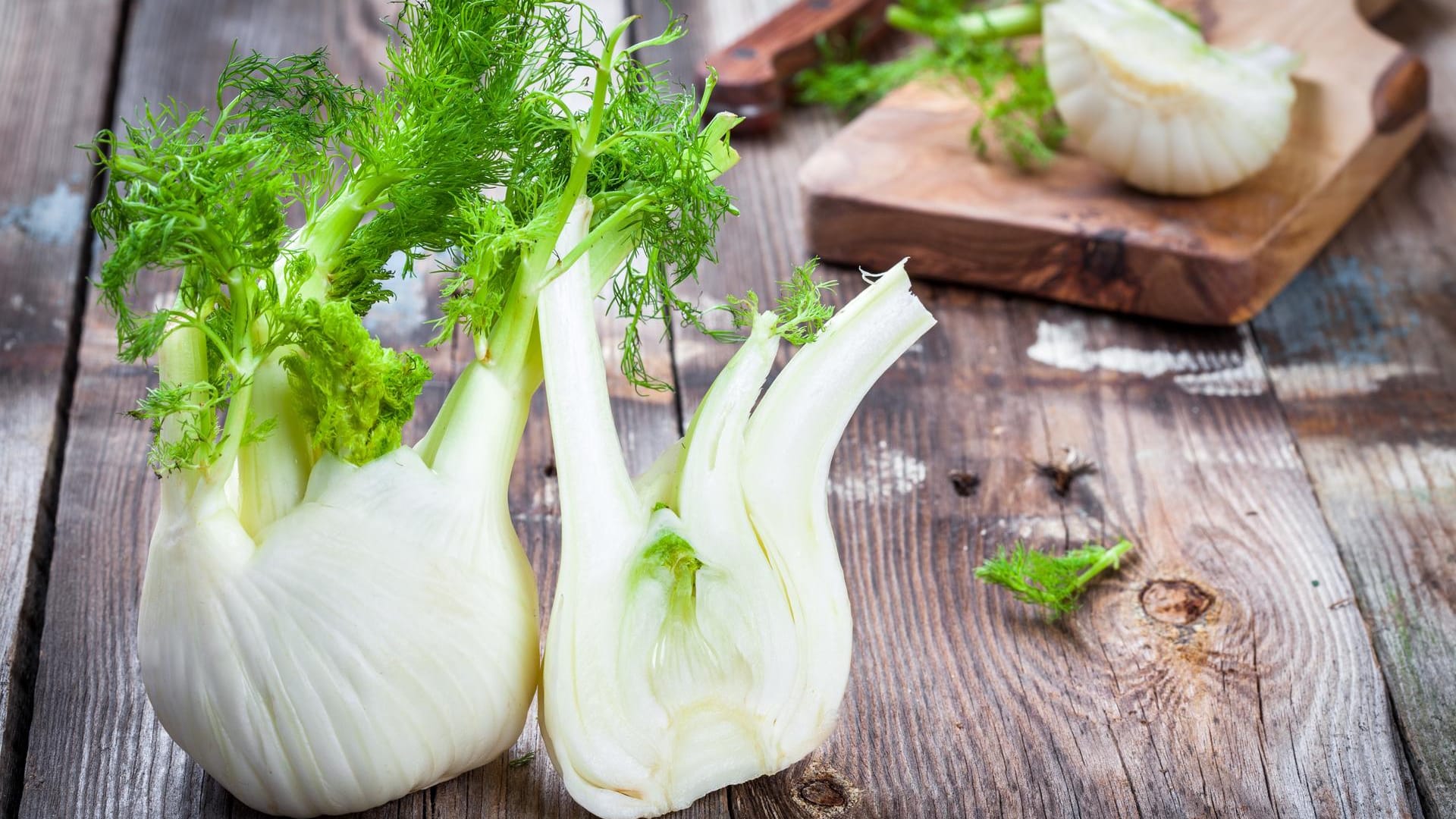 Fenchel: Achten Sie beim Einkauf darauf, dass die Fenchelknolle schön weiß ist und die Blattstiele hellgrün sind.