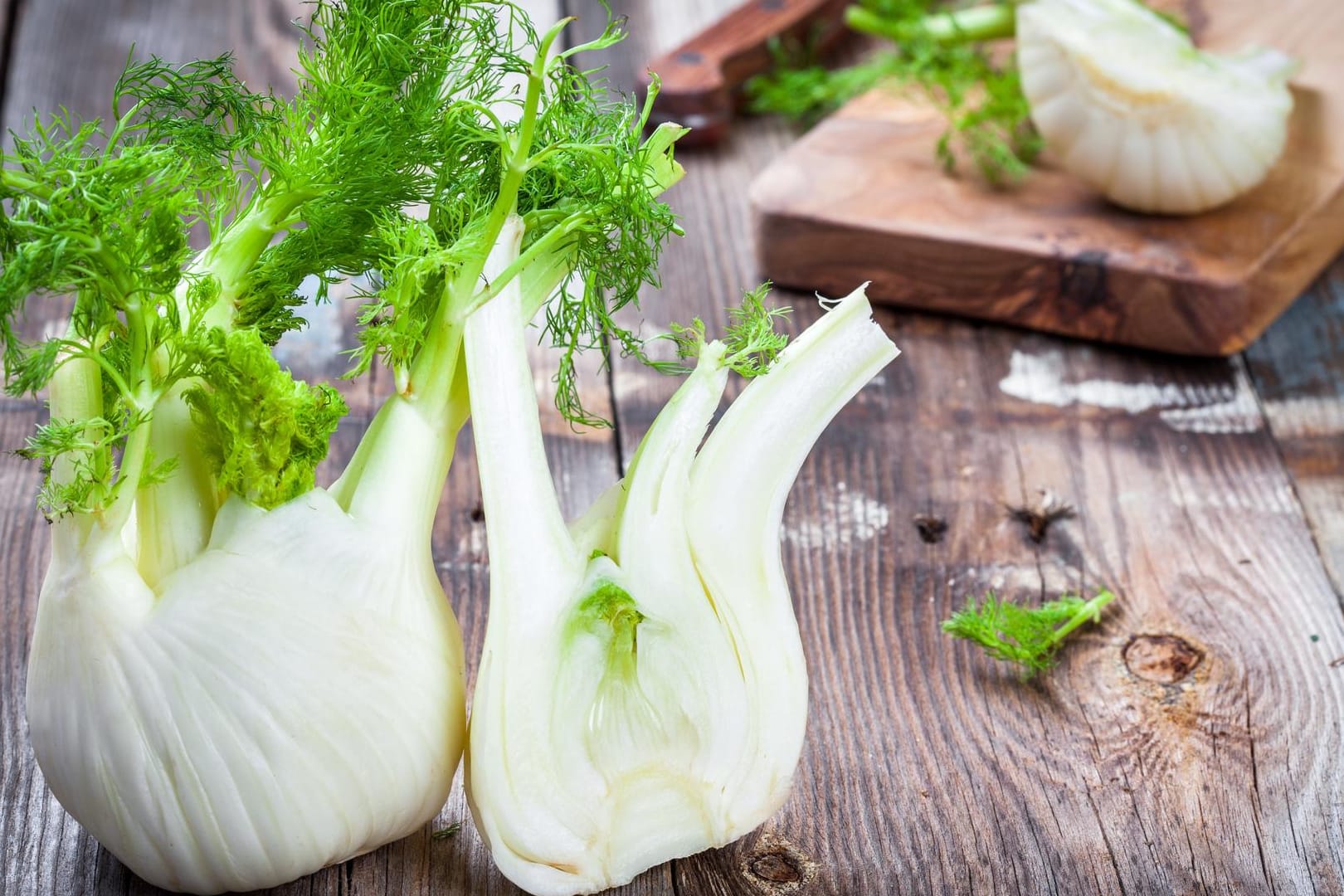 Fenchel: Achten Sie beim Einkauf darauf, dass die Fenchelknolle schön weiß ist und die Blattstiele hellgrün sind.