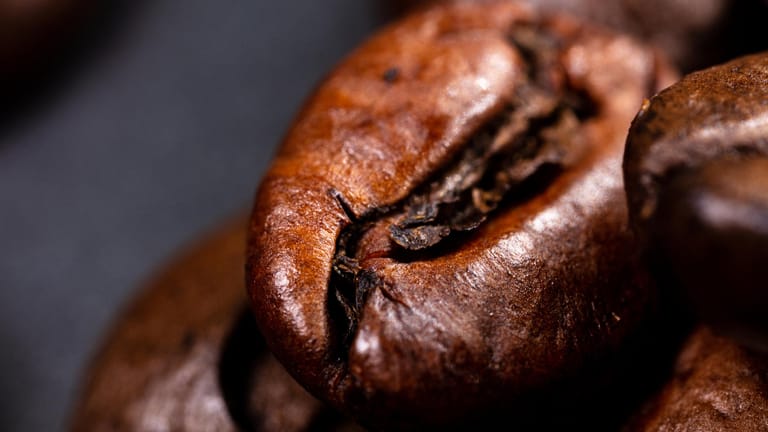 Arabicabohne: Arabica ist die Kaffeesorte, die weltweit am meisten getrunken wird.