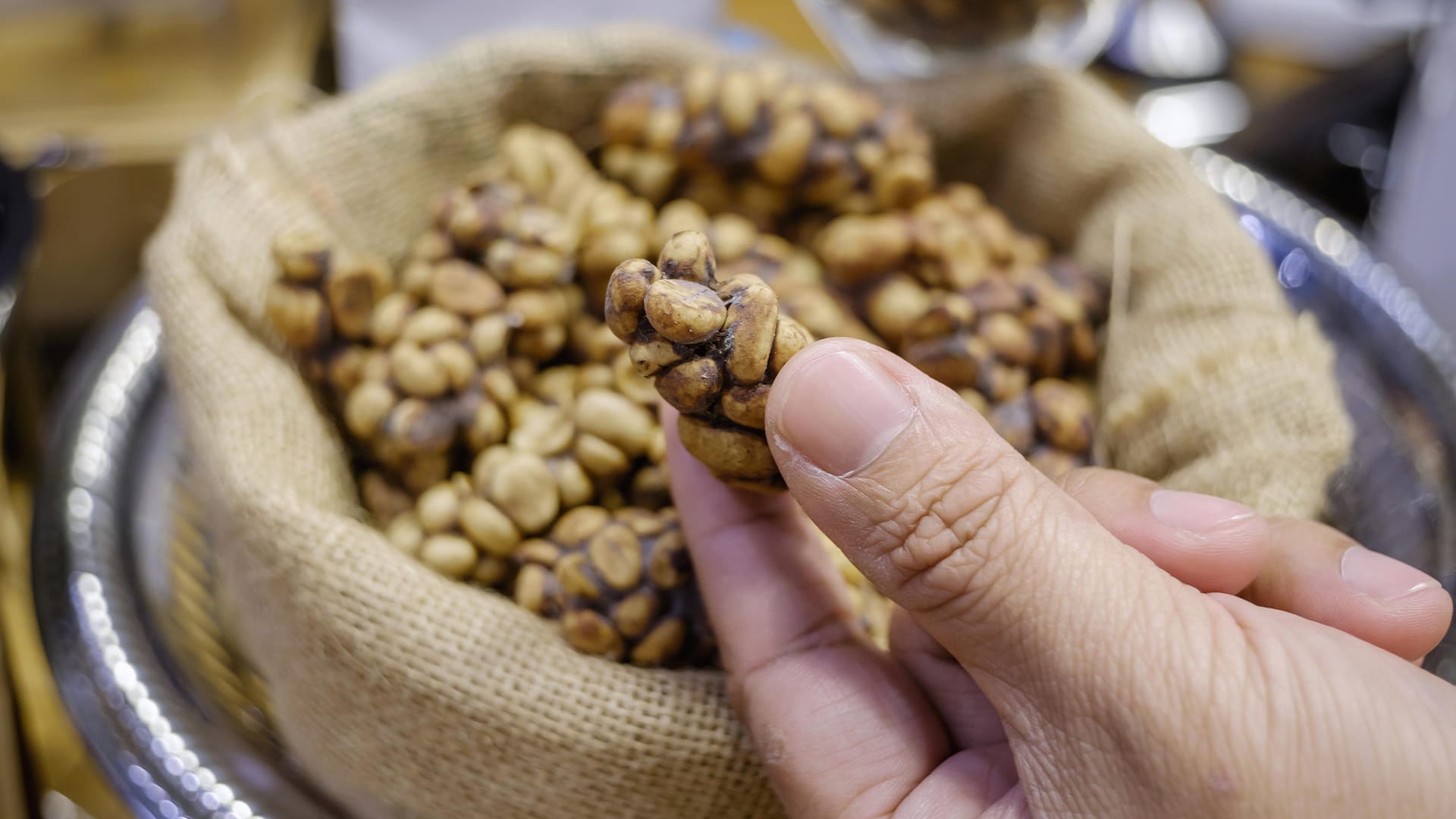 Kopi Luwak: Die Kaffeebohnen werden von bestimmten Schleichkatzen gefressen und wieder ausgeschieden.