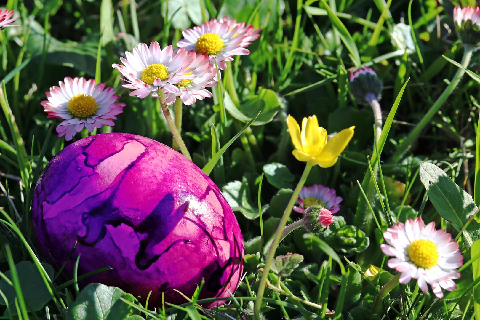 Gefärbte Osterei: Auch bunt gefärbte Eier gehören zu Ostern dazu.