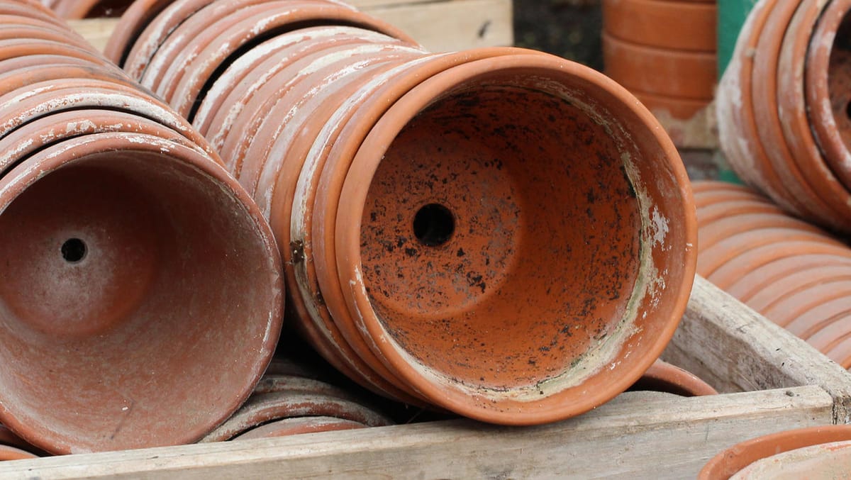 TerracottaTöpfe reinigen Frühjahrsputz im Garten