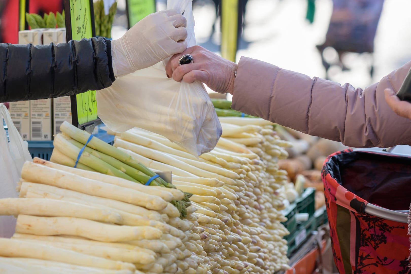 Spargel: Das Gemüse enthält viele wertvolle Nährstoffe.