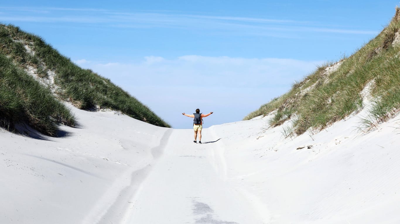 Strandweg auf der Insel Amrum: Der Sandstrand Norddorf misst etwa zehn Quadratkilometer.