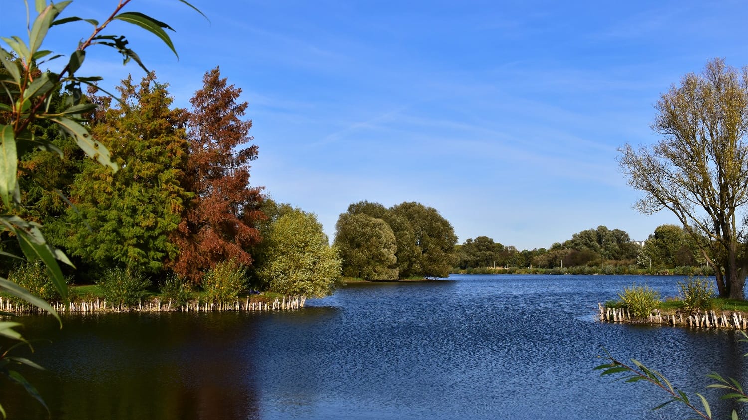 Salzgittersee: In der Mitte befindet sich eine Insel, die sich FKK-ler erobert haben.