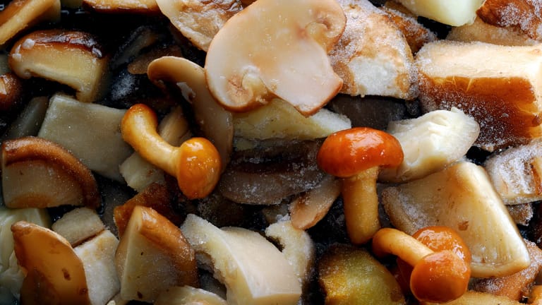 Tiefgefrorene Pilze: Werden Lebensmittel nach der Zubereitung korrekt gekühlt, können sie häufig noch einmal aufgewärmt werden.
