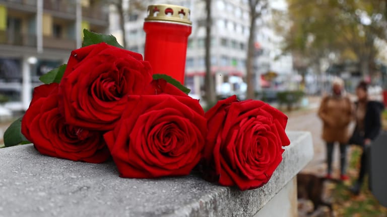 Wien: Rote Rosen und eine Kerze liegen in Gedenken an die Opfer des Terroranschlags in der Wiener Innenstadt.