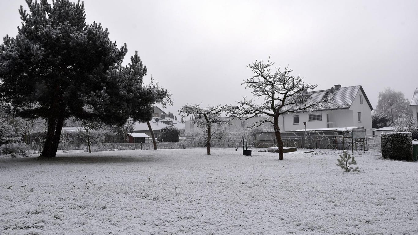 Garten: Die meisten winterfesten Gartenpflanzen kommen auch mit den Auswirkungen eines schneereichen Winters gut zurecht.