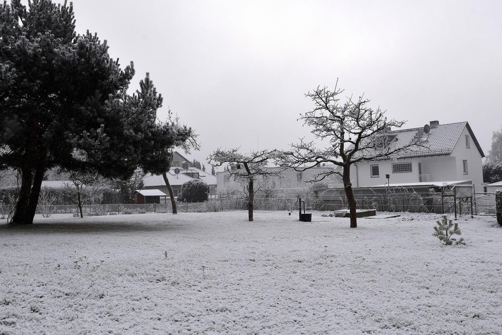 Garten: Die meisten winterfesten Gartenpflanzen kommen auch mit den Auswirkungen eines schneereichen Winters gut zurecht.