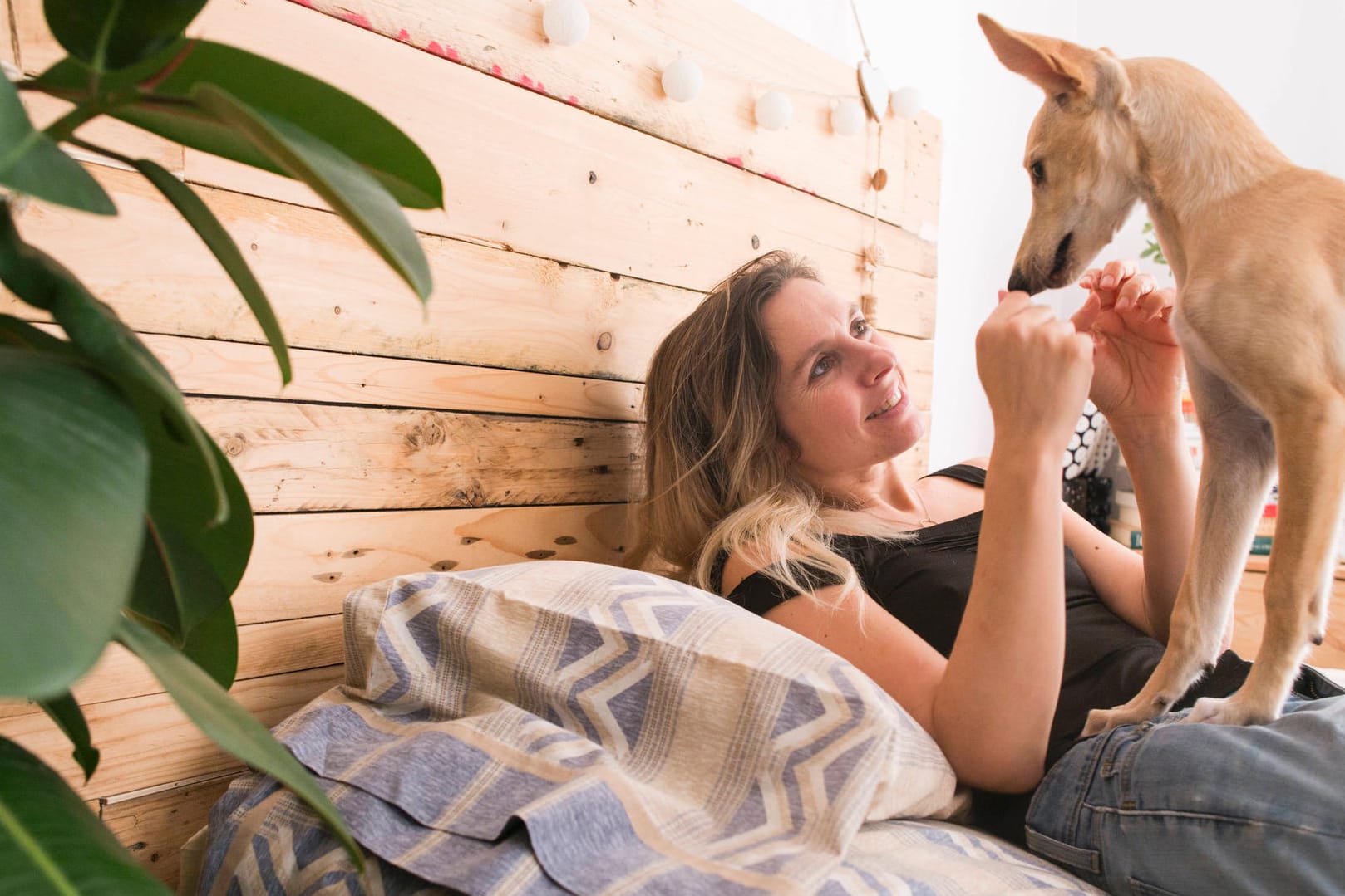 Schlafzimmer: Die Pflanze sorgt für gute Luft, der Hund bringt Spaß und gute Laune.