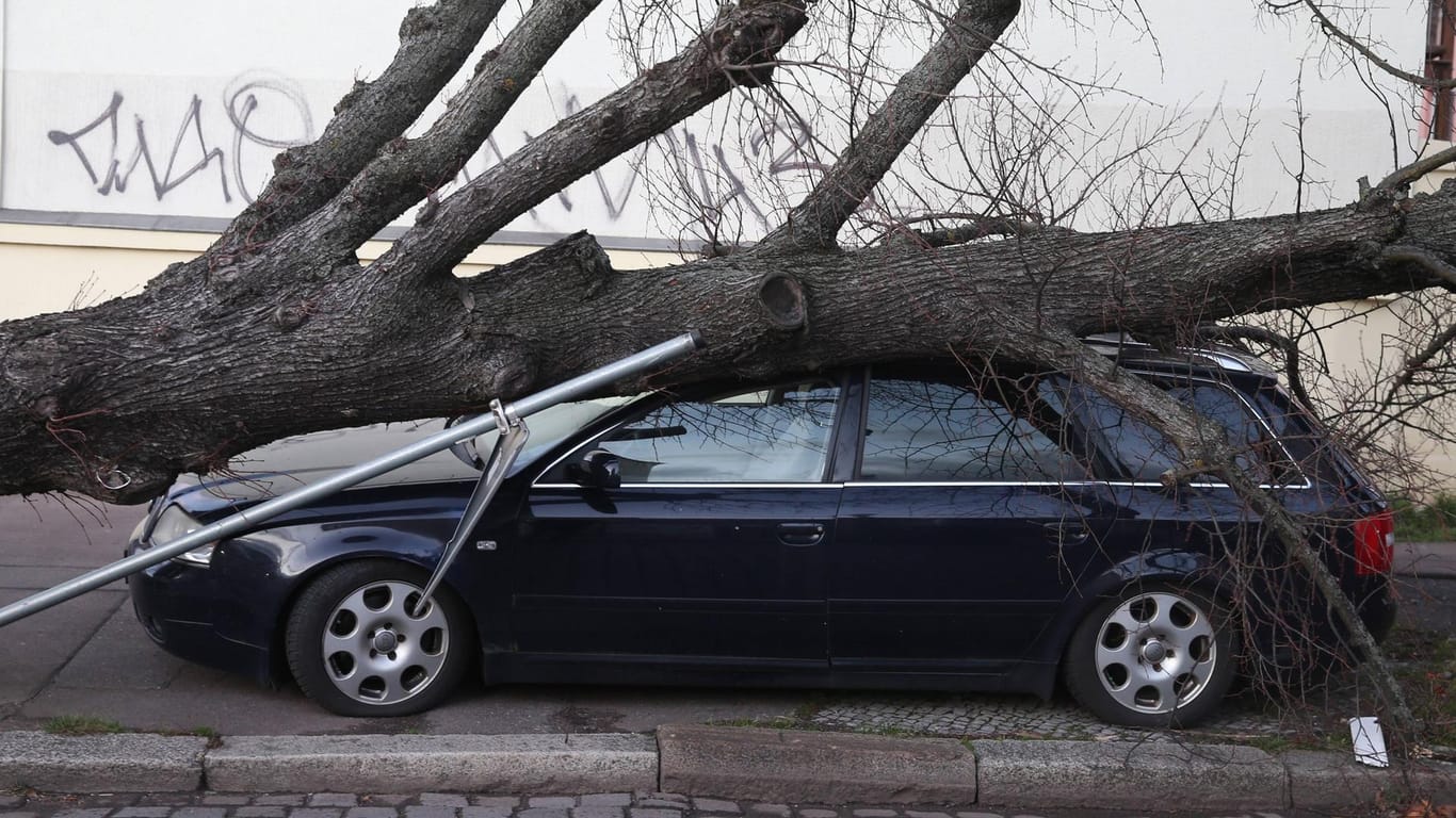 Umgekippter Baum: Ein Sturm kann schwere Schäden am Auto verursachen.